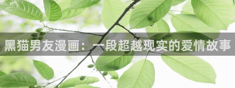 哔咔漫画在线观看免费漫画下拉式