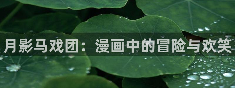 哔咔漫画18十在线看