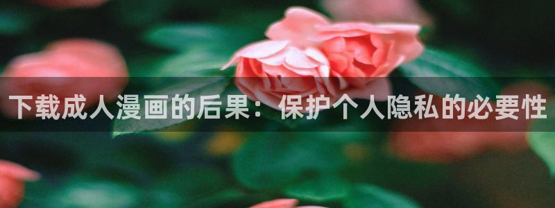picacg哔咔漫画加速器