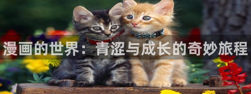 哔咔漫画隐藏入口