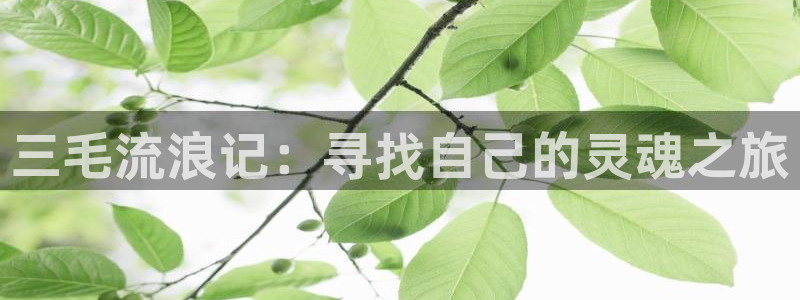 哔咔漫画免费版在线阅读入口